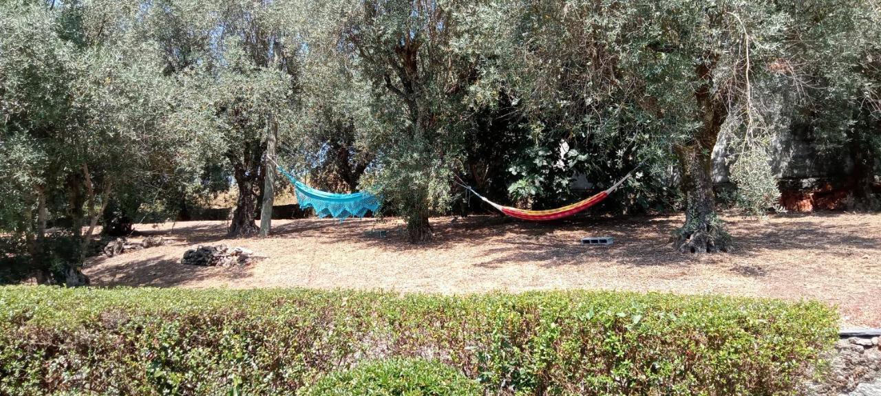 דירות ויסאו Tapada Flats מראה חיצוני תמונה